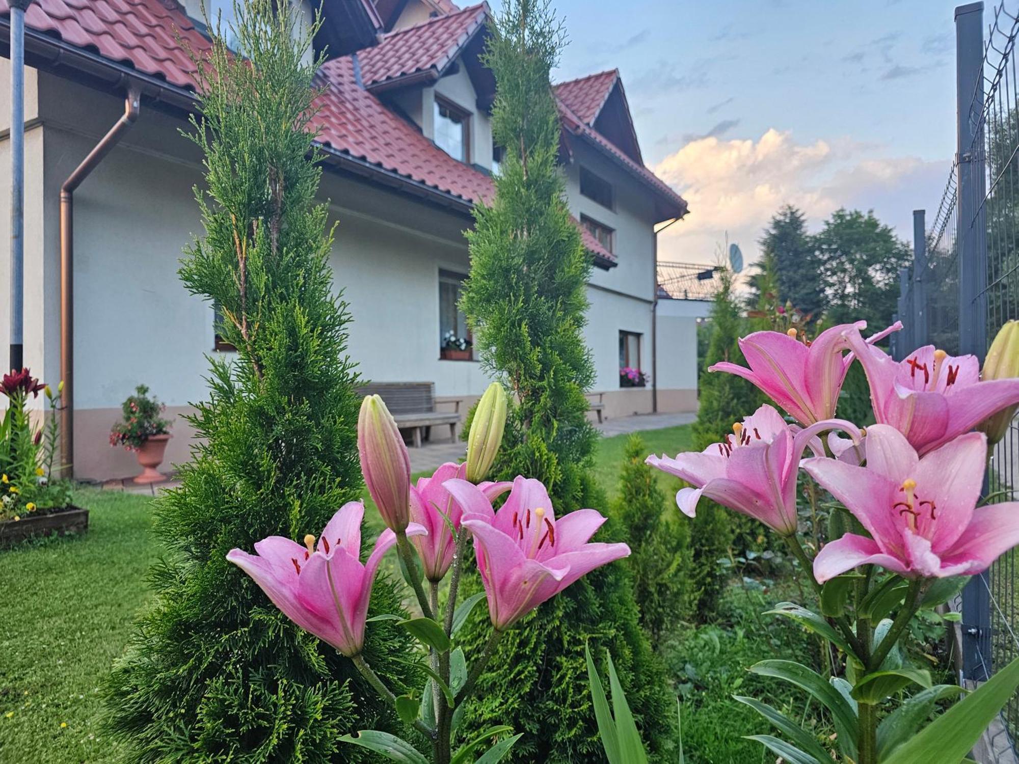 Noclegi Wegierska Gorka Exterior photo