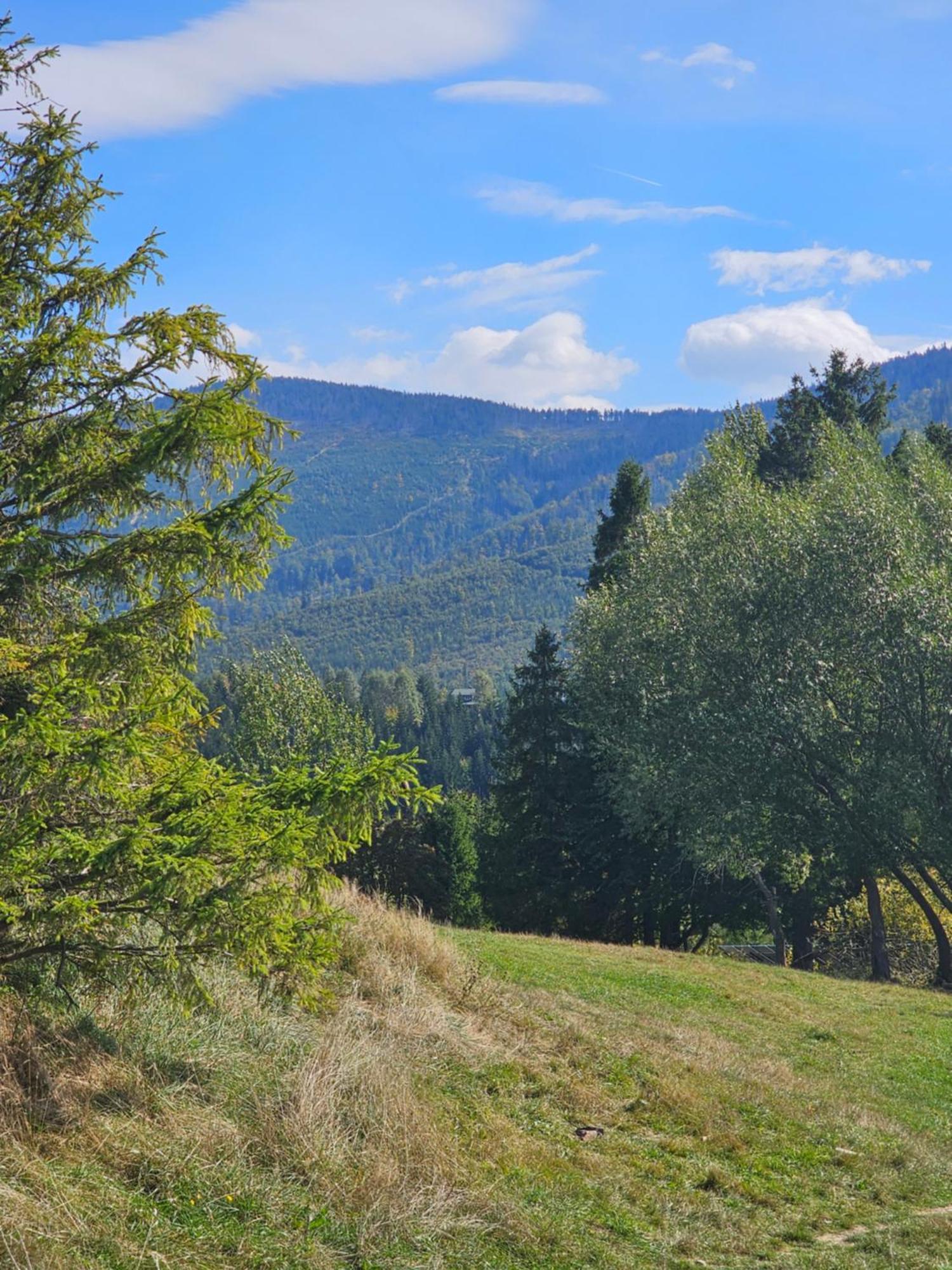 Dom Wypoczynkowy Beskidy Wegierska Gorka Exterior photo